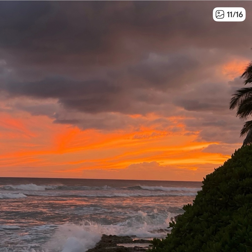 (Live show) happy Aloha Wednesday 2-24-26 🌺🌺🌺🌺 - Picture 8 of 10
